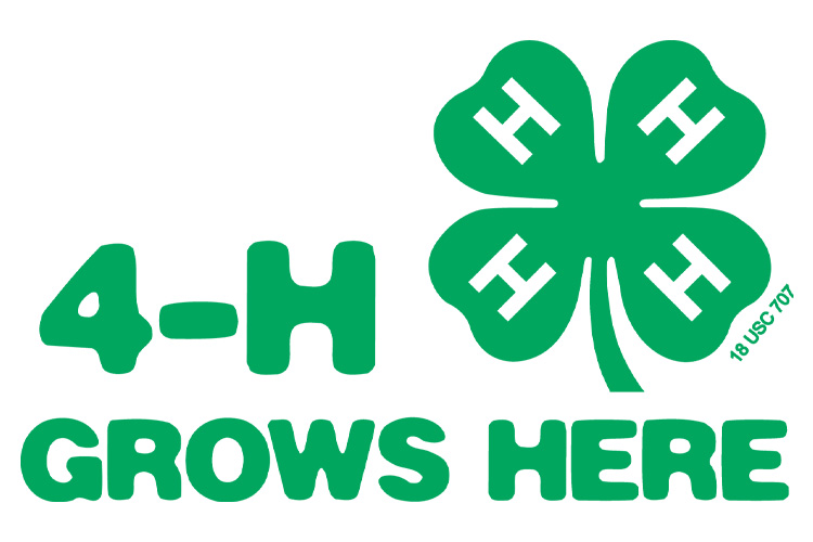 4-H Club